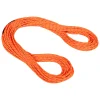 Livraison Standard/Rapide Mammut – 8.0 Alpine Dry Rope – Corde à Double 22